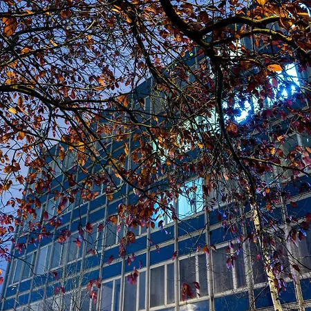 Dom Turystyczny Indigo אכסניה *